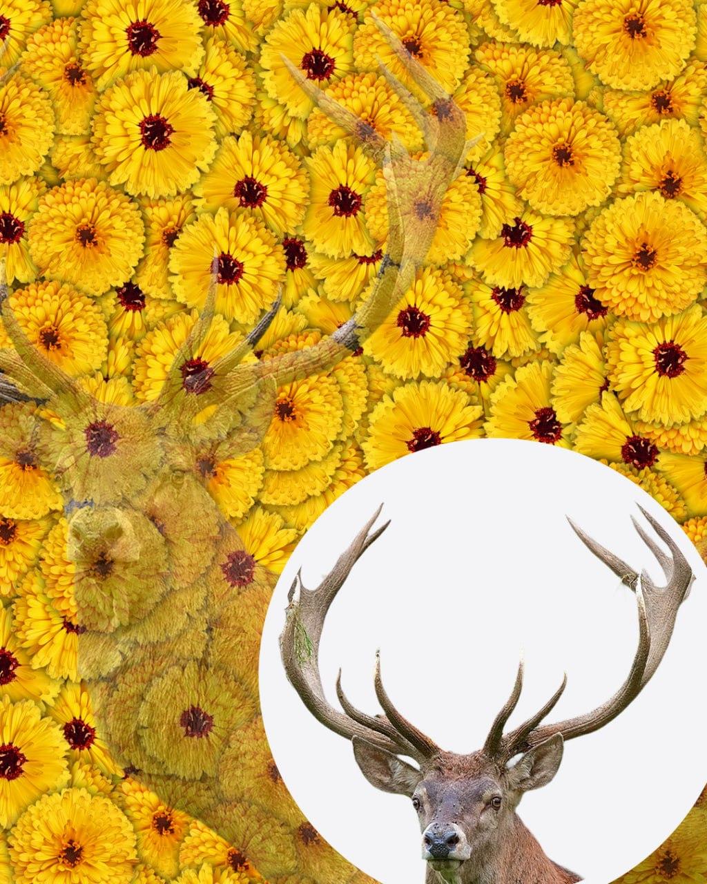 10 emberből csak 1 találja meg a képen látható szarvast 7 másodperc alatt: nagyon bonyolult optikai csalódás.