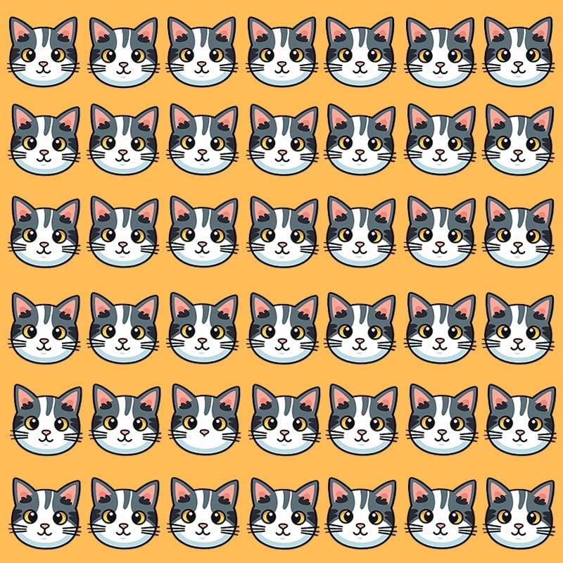 Ez az optikai csalódás csak grandiózus IQ-val rendelkező embereknek lehetséges / Moje image