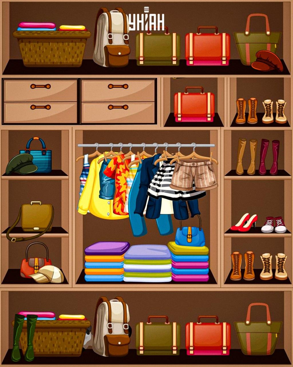 Meg kell találni a ravasz macskát / kollázs Moje