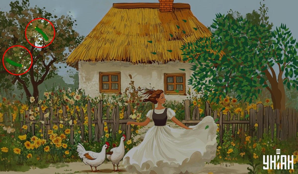 válasz / Moje fotó