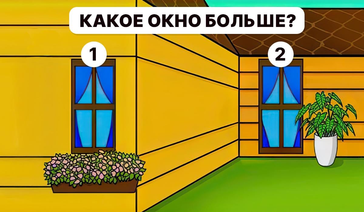 Meg kell érteni, hogy melyik ablak nagyobb / Moje kollázs