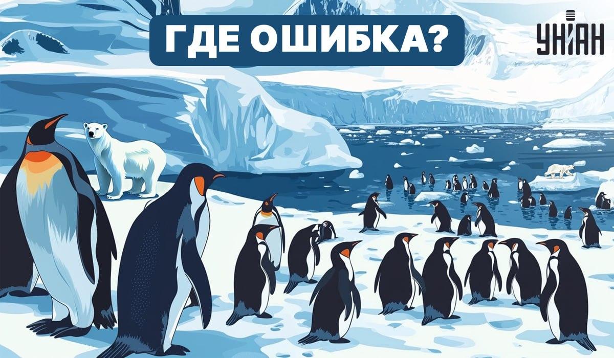 Rá tudsz jönni, mi a hiba a képen? / Moje