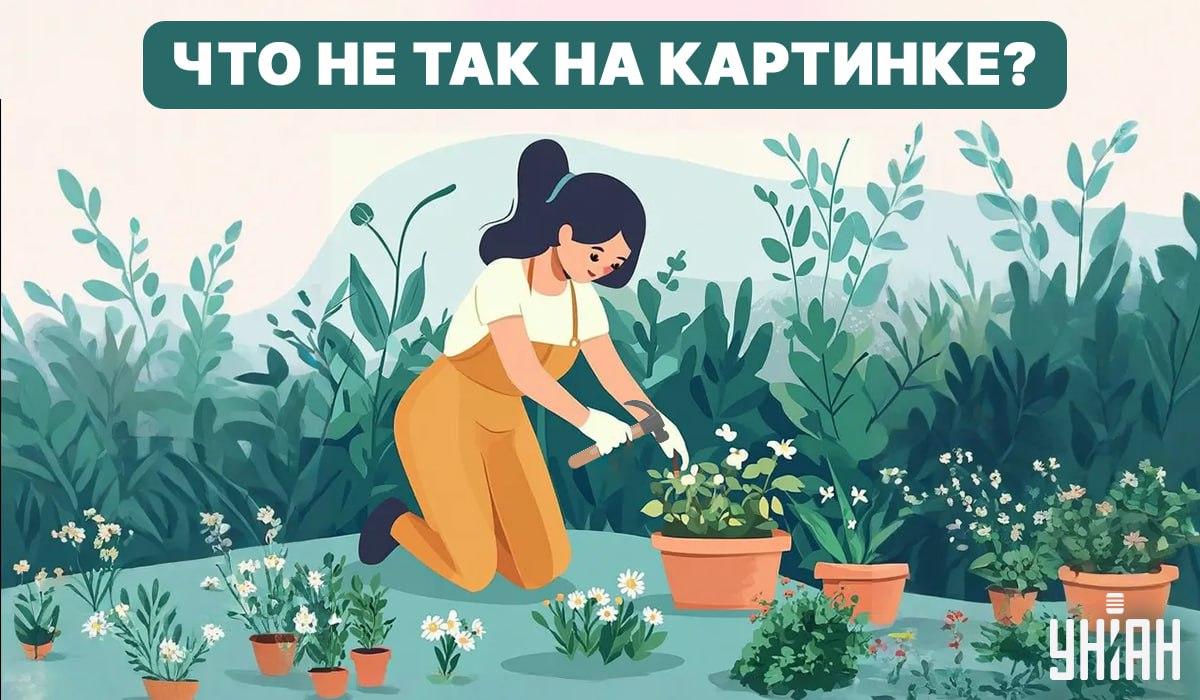 Próbálj meg hibát találni / Kollázs - Moje