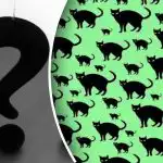 A legnehezebb kihívás még a legélesebb szeműek számára is: találd