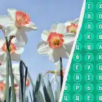 Az emberek 98%-a 10 másodperc alatt sem találja meg a