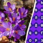 Az emberek mindössze 1%-a találja meg a "krókusz" szót 11