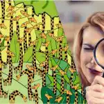 Csak a magas IQ-val rendelkezők találnak kígyót a zsiráfok között