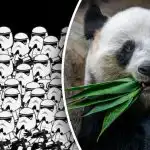 Csak egy maroknyi ember képes 5 másodperc alatt megtalálni a