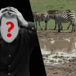 Gyors IQ teszt: találj meg egy kutyát egy mezőn 6