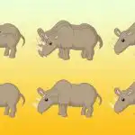 Hány orrszarvú van a képen: csak egy zseni lenne képes