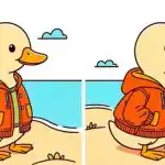 IQ-teszt: 36 másodperc alatt találj 3 különbséget egy kabátos kacsát