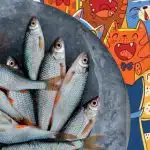 Meg kell találni a halakat a macskák között: egy szórakoztató