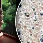 Optikai illúzió a legfigyelmesebbeknek: csak a zsenik találják meg a