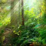 Rejtvény a kiváló látással rendelkezőknek: 6 másodperc alatt kell megtalálnod