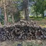 Rejtvény a legvidámabbaknak és a legtalálékonyabbaknak: 7 másodperc alatt kell megtalálnod a macskát. Rejtvény a legvidámabbaknak és a legtalálékonyabbaknak: 7 másodperc alatt kell