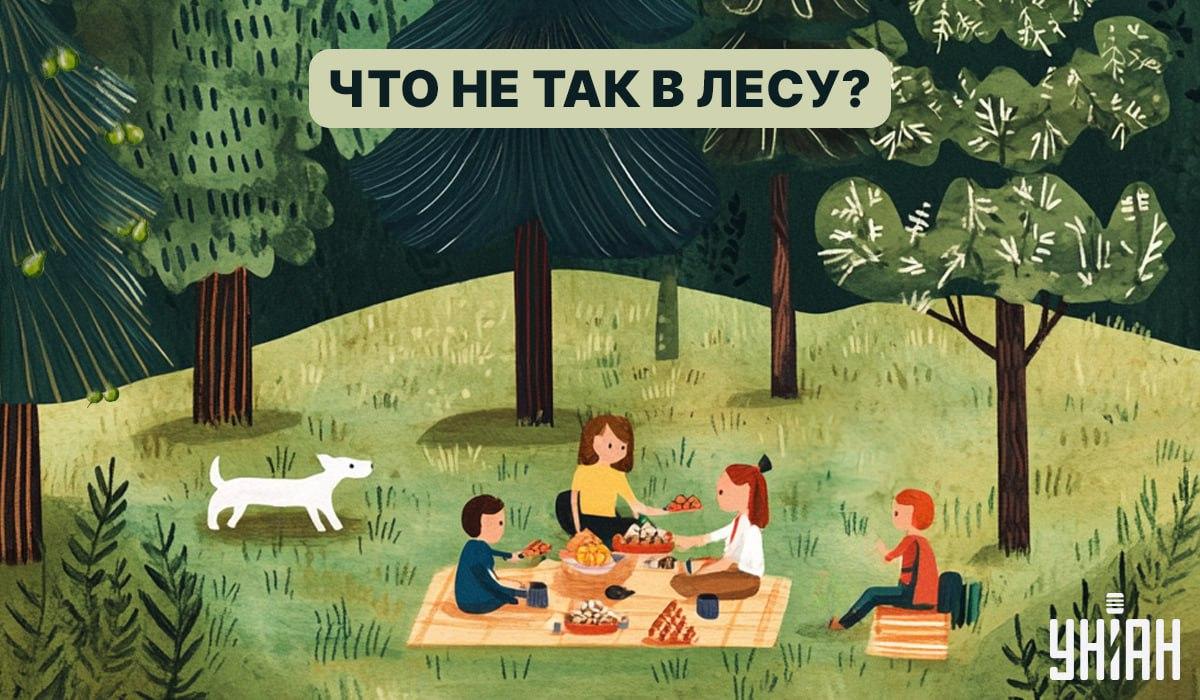 Találj meg egy bogarat az erdőben 5 másodperc alatt: egy gyorsteszt az IQ ellenőrzésére