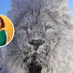 "Zárkózott" vagy "társaságkedvelő" ember: mit árul el rólad az optikai