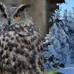 Zseniknek való bonyolult rejtvény: csak a legfelkészültebbek veszik észre a